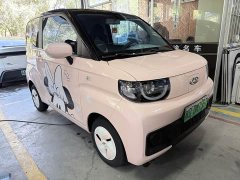 Chery QQ Ice Cream 170km Milkshake LFP - ფოტო 2