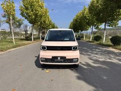Wuling Hongguang MINIEV 2021 Macaron Sandwich Edition 120km LFP Battery - ფოტო 2