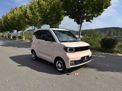 Wuling Hongguang MINIEV 2021 Macaron Sandwich Edition 120km LFP Battery - ფოტო 3