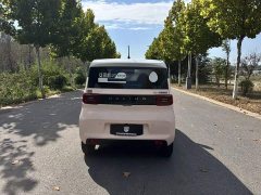 Wuling Hongguang MINIEV 2021 Macaron Sandwich Edition 120km LFP Battery - ფოტო 8