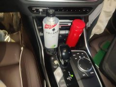 BMW 3 Series Facelift 320Li M Sport Package - ფოტო 10