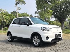 Leapmotor Leapo T03 Haoyu Edition - ფოტო 3