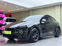 Tesla Model Y 2023 Long Range All-Wheel Drive - ფოტო 1