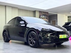Tesla Model Y 2023 Long Range All-Wheel Drive - ფოტო 3