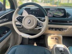 ORA Good Cat 400km Standard Range Luxury Lithium Iron Phosphate - ფოტო 11
