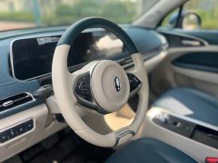 ORA Good Cat 400km Standard Range Luxury Lithium Iron Phosphate - ფოტო 14