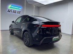 Tesla Model Y Rear-Wheel Drive - ფოტო 8