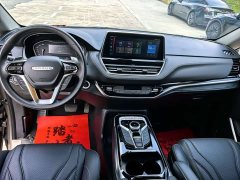 Maxus G20 2021 PLUS 2.0T Petrol Automatic Executive - ფოტო 10