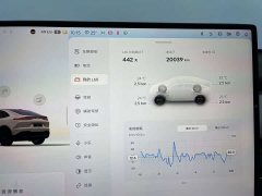 Nio Lerado L60 2024 60kWh Rear-Wheel Drive - ფოტო 9