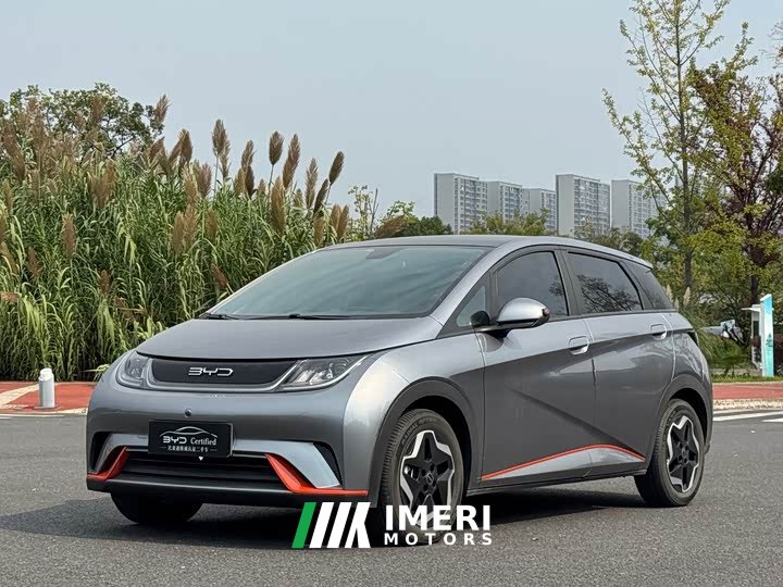 BYD Dolphin 2023 420km Freedom Edition - ავტომობილი ჩინეთიდან