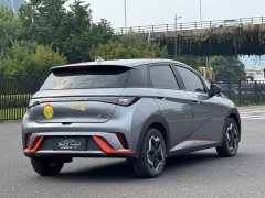 BYD Dolphin 2023 420km Freedom Edition - ფოტო 5