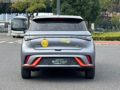 BYD Dolphin 2023 420km Freedom Edition - ფოტო 6