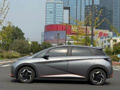 BYD Dolphin 2023 420km Freedom Edition - ფოტო 7