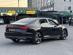 Volkswagen Passat Outstanding Edition 380TSI Starry Sky Dragon Ascendant Version - ფოტო 14