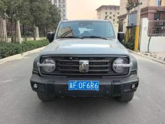 Tank 300 2021 Off-Road Edition 2.0T Conqueror - ფოტო 2