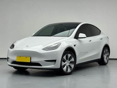 Tesla Model Y Rear-Wheel Drive - ფოტო 1