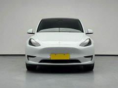 Tesla Model Y Rear-Wheel Drive - ფოტო 3