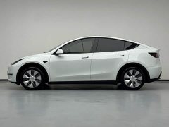 Tesla Model Y Rear-Wheel Drive - ფოტო 6