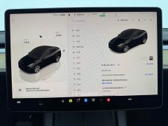 Tesla Model Y Rear-Wheel Drive - ფოტო 8