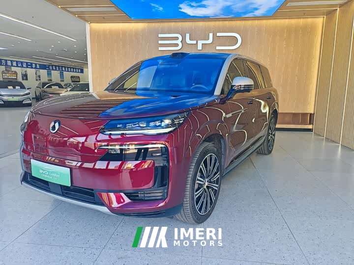 Denza BYD Denza N9 Flagship - ავტომობილი ჩინეთიდან