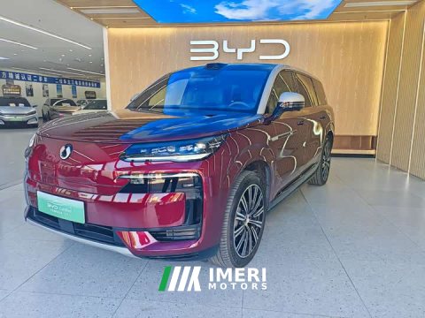 2026 Denza BYD Denza N9 Flagship - ავტომობილი ჩინეთიდან