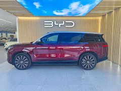 Denza BYD Denza N9 Flagship - ფოტო 17