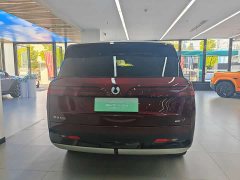 Denza BYD Denza N9 Flagship - ფოტო 19