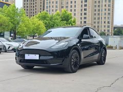 Tesla Model Y 2023 Long Range All-Wheel Drive - ფოტო 1
