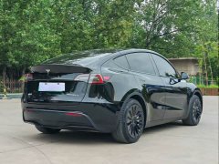 Tesla Model Y 2023 Long Range All-Wheel Drive - ფოტო 6