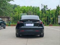 Tesla Model Y 2023 Long Range All-Wheel Drive - ფოტო 7