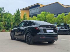 Tesla Model Y 2023 Long Range All-Wheel Drive - ფოტო 8
