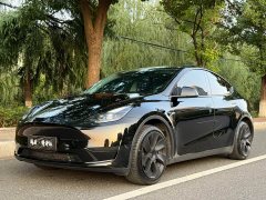 Tesla Model Y Rear-Wheel Drive - ფოტო 1