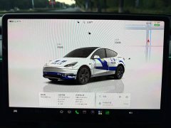 Tesla Model Y Rear-Wheel Drive - ფოტო 17