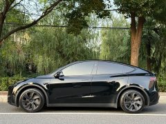 Tesla Model Y Rear-Wheel Drive - ფოტო 2