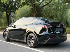 Tesla Model Y Rear-Wheel Drive - ფოტო 3