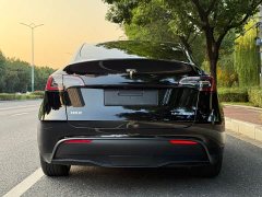 Tesla Model Y Rear-Wheel Drive - ფოტო 4