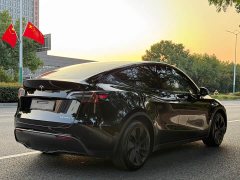 Tesla Model Y Rear-Wheel Drive - ფოტო 5