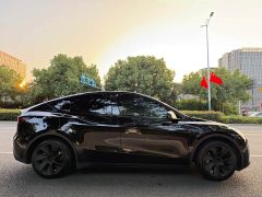 Tesla Model Y Rear-Wheel Drive - ფოტო 6