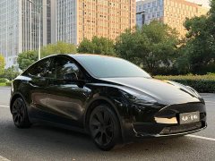 Tesla Model Y Rear-Wheel Drive - ფოტო 7