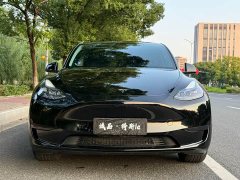 Tesla Model Y Rear-Wheel Drive - ფოტო 8