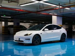 Tesla Model 3 Standard Range RWD Upgrade 3D6 - ფოტო 1