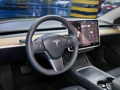 Tesla Model 3 Standard Range RWD Upgrade 3D6 - ფოტო 10