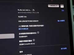 Tesla Model 3 Standard Range RWD Upgrade 3D6 - ფოტო 11