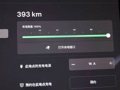 Tesla Model 3 Standard Range RWD Upgrade 3D6 - ფოტო 13