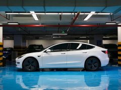 Tesla Model 3 Standard Range RWD Upgrade 3D6 - ფოტო 2