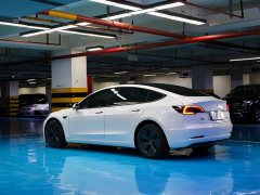 Tesla Model 3 Standard Range RWD Upgrade 3D6 - ფოტო 3