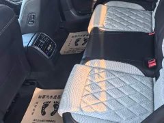 Volkswagen Magotan 2 Million Units Celebration Edition 330TSI DSG Luxury - ფოტო 7