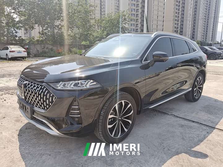 Great Wall Wei Brand Mocha 2021 2.0T Two-Wheel Drive Rich Edition - ავტომობილი ჩინეთიდან