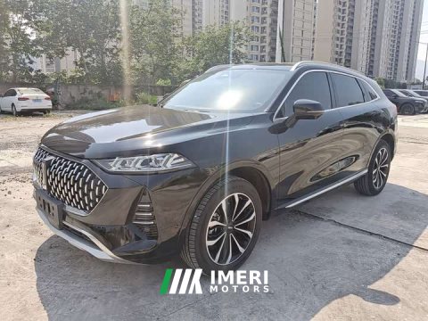 2022 Great Wall Wei Brand Mocha 2021 2.0T Two-Wheel Drive Rich Edition - ავტომობილი ჩინეთიდან
