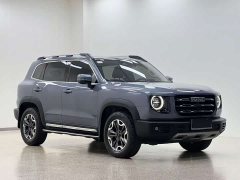 Great Wall Dachshund 2021 Facelift 2.0T DCT Four-wheel Drive Xiaotian Dog Edition - ფოტო 3